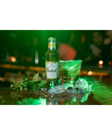  Britvic Britvic Ginger Ale 24 x 200 ml - Buy Online on GoSupps.com