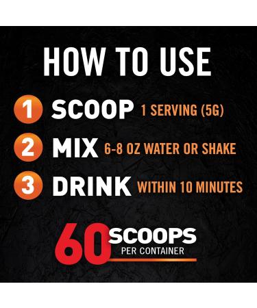 Body Fortress 100% Creatine Monohydrate Powder - Unflavored Micronized Creatine Supplement for Muscle Growth Strength & Recovery Pre Workout & Post Workout for Women and Men - 5g Per Scoop 300 grams - Buy Online on GoSupps.com