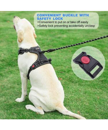 tobeDRI No Pull Dog Harness & Leash Set - Adjustable Reflective Oxford, Easy Control for Medium & Large Dogs - Blue - Buy Online on GoSupps.com