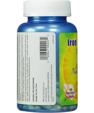 Nature's Life Iron Complex 25mg | 100 Vegetarian Capsules with Co-Nutrients - Buy Online on GoSupps.com
