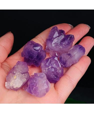 Amethyst Crystals Natural Specimen Amethyst Quartz Cluster Crystal Specimen Minerals JIZTGEDM (Color : C Size : 6 Pieces) 6 pieces C - Buy Online on GoSupps.com