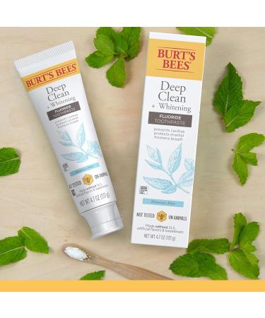 Burt's Bees Deep Clean + Whitening Fluoride Toothpaste 4.7oz (Pack of 3) - Natural Mountain Mint Flavor - Buy Online on GoSupps.com