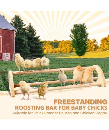 TonGass 16 Extra Long Chicken Perch with Built-in Mirrors - Durable Bamboo Roosting Bar for Baby Chicks - 15 3/4 x 6 5/8 x 3 1/2 - Buy Online on GoSupps.com