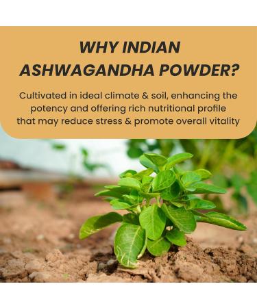 Jwalia Herbals MYHERB 100 Pure Natural Organic Ashwagandha Powder 227 Gm Withania Somnifera Ayurvedic formula Support for stressfree living for men and women 227 g Pack of 1 - Buy Online on GoSupps.com
