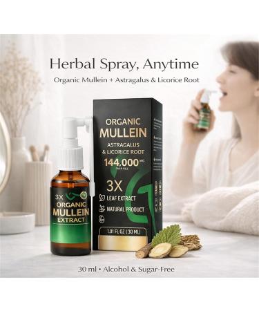 Gfouk Mullein Drops 3X Concentr Compl ment Alimentaire Botanique Organic Pour Adultes Actifs Routine Simple Pour Trajets Et Bureau Diluer Ou En Sublingual Selon tiquette (1) - Buy Online on GoSupps.com