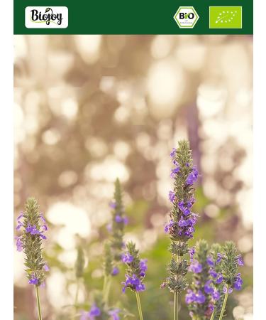 Buy Biojoy ORGANIC Chia Seeds Whole (2 kg) - Black Chia Seeds (Salvia hispanica) | Premium Quality & Fast International Shipping - Buy Online on GoSupps.com