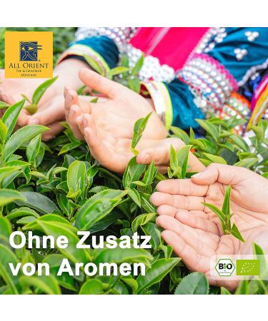 Buy All Orient Bio Sencha 1000g - Premium Loose Green Tea from Zhejiang China | Natural Flavor Without Additives - Buy Online on GoSupps.com