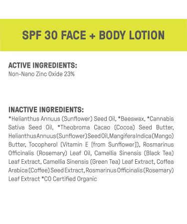 Raw Elements Face and Body Mineral Sunscreen SPF 30+ - 95% Organic, Water Resistant, Reef Safe, Cruelty Free - 3oz Bio-Resin Tube, Moisturizing Formula - All Ages Safe - Buy Online on GoSupps.com