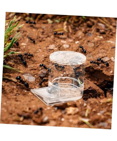 Ipetboom Pet Water Feeder Ant Water Feeders Ant Watering Cup Ant Bottle Feeder Ant Keeping Ant Feed Bowl Ants Feeding Device Ant Watering Station Ant Feeder Tool Animal Sea turtle Plastic - Buy Online on GoSupps.com