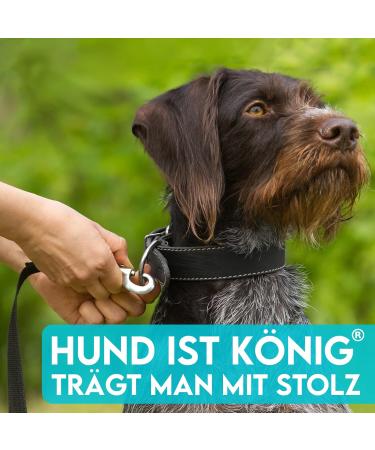 Dog is K nig 10m Drag Line for Dogs | Comfortable Grip Leash | Water-Repellent Dirt-Resistant | Ideal for Dog Training + Free eBook - Buy Online on GoSupps.com