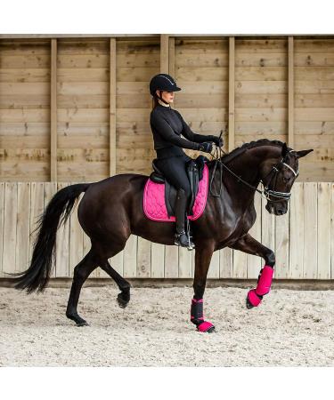 HORZE Grayson Classic Leather Ergonomic Snaffle Dressage Bridle - Black/White Horse - Buy Online on GoSupps.com