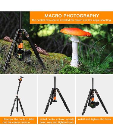 Victiv 82 Aluminum DSLR Camera Tripod | 80 Monopod | Lightweight & Durable Tripod for Travel & Work - Orange - Buy Online on GoSupps.com