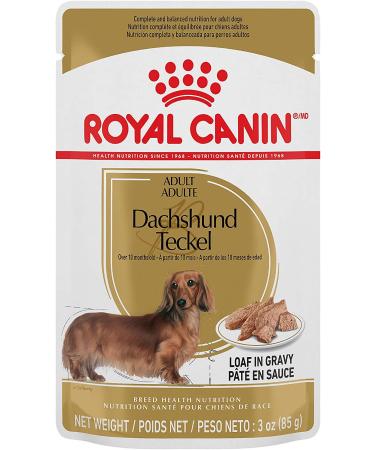 Royal Canin Dachshund Adult Wet Dog Food 3oz - Pack of 12 | Loaf in Gravy - Buy Online on GoSupps.com