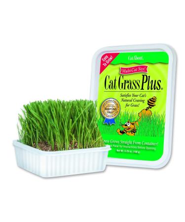 Cat-A'bout Multi-Cat CatGrass Plus Tub 150 grams by MiracleCorp/Gimborn