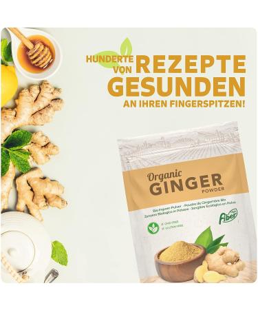 Nortembio 100g Biological Ginger Powder | 100% Natural Vegan Gluten-Free - Perfect for Infusions! - Buy Online on GoSupps.com