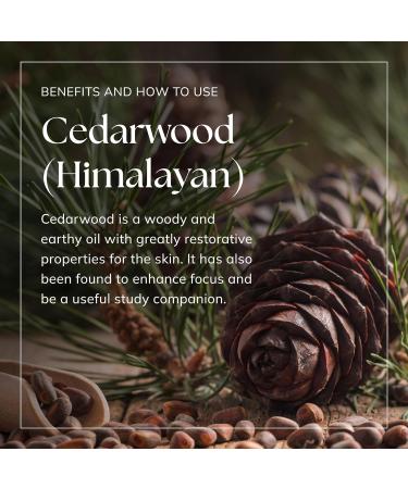 Nikura Cedarwood (Himalayan) Essential Oil 100ml - Moth Repellent, Study Focus, Acne | UK Made, Pure & Natural for Diffusers, Aromatherapy, Candle Making, Soap - Buy Online on GoSupps.com