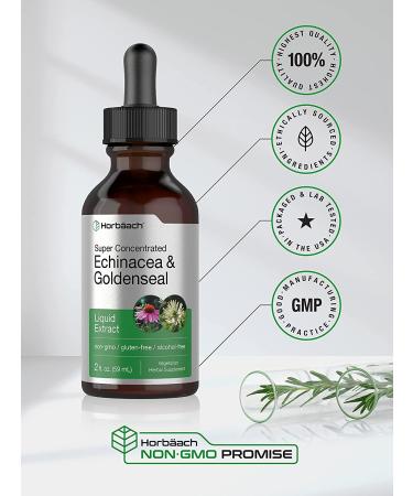 Echinacea Goldenseal Liquid Extract - 2 fl oz Alcohol Free Tincture | Vegetarian, Non-GMO, Gluten Free | Horbaach - Buy Online on GoSupps.com