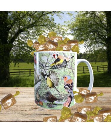 British Garden Birds Mug with Choice of Sweets Gift - Buy Online on GoSupps.com