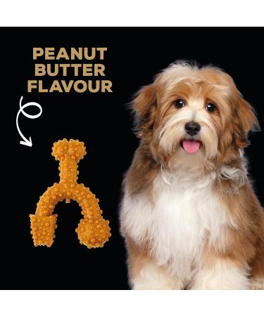 Tasty Trio Bone Cacahuete Mantequilla Toy - Premium Pet Chew for Dogs | Buy Online Worldwide - Buy Online on GoSupps.com