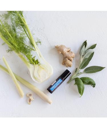 Tummy Support Essential Oil Roller 10mL | Natural Aromatherapy for Nausea & Digestion | International Shipping Available - Buy Online on GoSupps.com