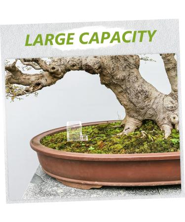 BESPORTBLE 3pcs Pet Water Feeder Ants Farm Water Feeders Ants Nest Water Feeding Area Ants Feeder Plastic - Buy Online on GoSupps.com