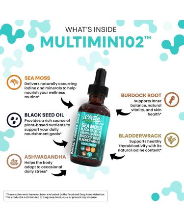 Clean Nutraceuticals Sea Moss Drops Supplement Liquid with Black Seed Oil Ashwagandha Burdock Root & Bladderwrack - Multimineral Organic Non-GMO Vegan for Gut Heath Skin Immune Support Hair (2) - Buy Online on GoSupps.com