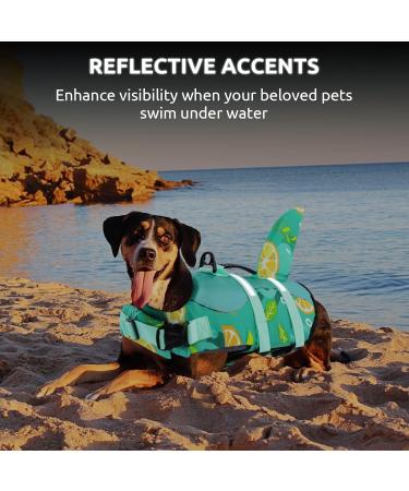 Buy Cit toile Dog Life Jacket - Shark Design Safe & Lightweight Swimming Vest for Small Medium & Large Dogs - Reflective Handle Gray/Blue - Buy Online on GoSupps.com