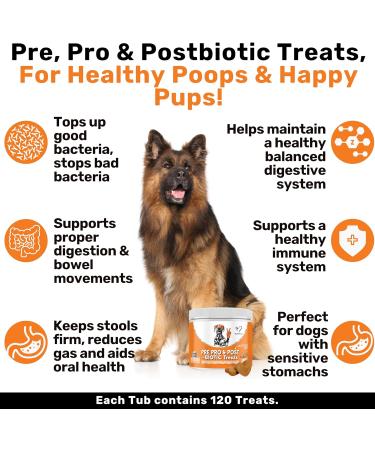 NutriPaw Pre Pro & Postbiotic Digestive Treats For Dogs - Gut Health Sensitive Tums Anal Glands Scooting Loose Stools Smelly Itchy Ears Enzymes Great for all dogs Single Pack - Buy Online on GoSupps.com