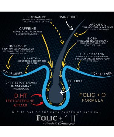 Hair Growth Shampoo & Conditioner by GRD Hair UK Biotin Argan Oil Allantoin Rosemary Niacinamide Lupin. Male & Female Hair Loss Products. Folic + : Moisture +. - Buy Online on GoSupps.com