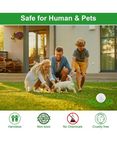 12 Pack Natural Peppermint Oil Rodent Repellent Balls - Safe Pest Control for Mice, Rats, Roaches, Moles, Squirrels, Ants, Moths - Indoor & Outdoor Use - Pet & Kid Safe - Buy Online on GoSupps.com