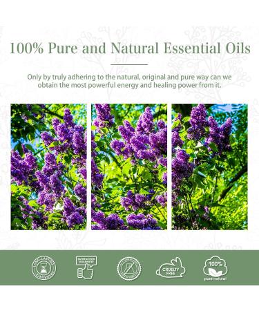Premium Grade Clove Essential Oil 30ML - Pure Oil for Aromatherapy Diffuser, Humidifier, Candle Making - PHATOIL - Buy Online on GoSupps.com