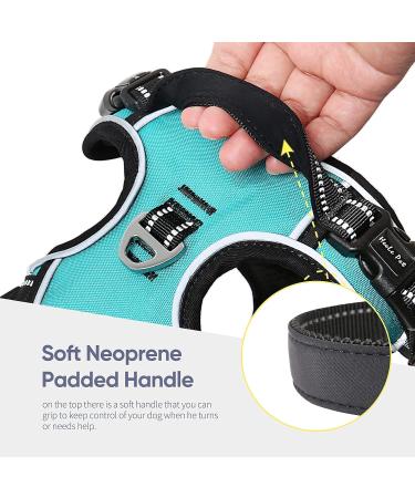 Premium Heele Dog Crockery & No-Pull Harness - Adjustable Reflective & Breathable for Medium Dogs - Turquoise XL - Buy Online on GoSupps.com