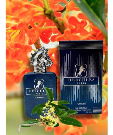 HERCULES PARIS EAU DE PARFUM 3.4 FL. Oz Aromatic Spicy fragrance for Men. - Buy Online on GoSupps.com