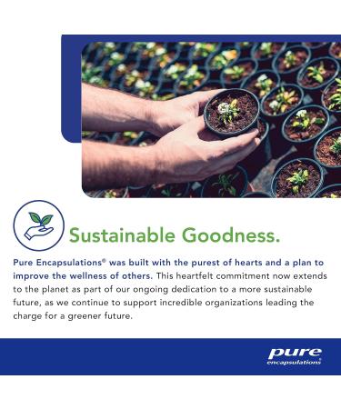 Pure Encapsulations Best-Rest Formula | Support the Onset of Sleep and Sleep Quality* | 120 Capsules - Buy Online on GoSupps.com