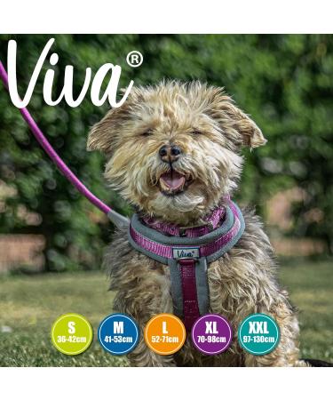 Ancol Viva Purple Padded Harness - Size Small (36-42cm) - Buy Online on GoSupps.com