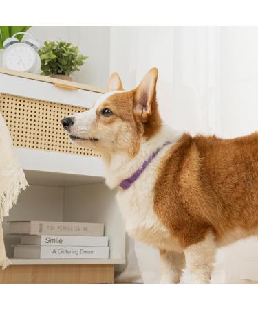 Dog Repellent Treatment Dog Repellent Collars Adjustable Small-Medium-Large Dog Repellent Collar Natural Repellent Collar for Dogs Waterproof Reflective Dog Repellent (Single Pack Purple) Single Pack Dog Purple - Buy Online on GoSupps.com