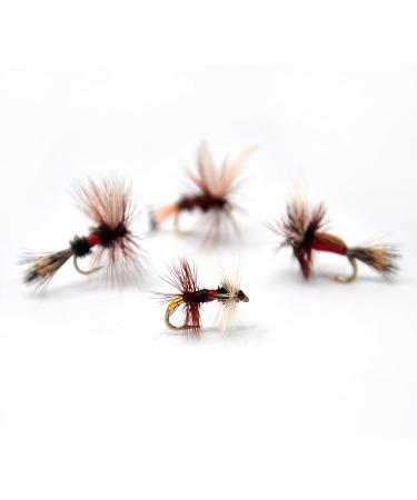 Outdoor Planet Waterproof Fly Box with 12 Trout Fly Fishing Flies - Dry/Wet/Nymph/Streamer Lures - Royal Coachman/Wulff/Humpy/Renegade - Buy Online on GoSupps.com
