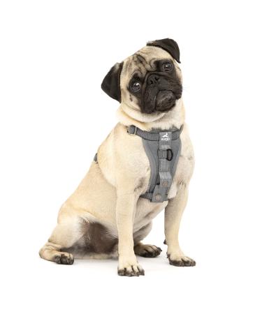 Kurgo Tru-Fit Dog Harness Crash Tested Car Seat Belt For Dogs 2 to 5 kg Size S Gray Gray S
