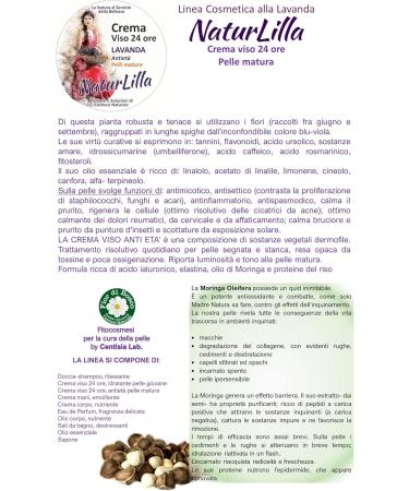 Centisia NLAnti aging facial cream lavender 50 ml - Buy Online on GoSupps.com