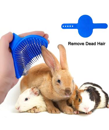 6-Piece Bunny Grooming Kit: Brush, Hair Remover, Shampoo, Bath Brush, Nail Clipper, Comb - Blue | For Bunny, Hamster, Guinea Pig - Buy Online on GoSupps.com
