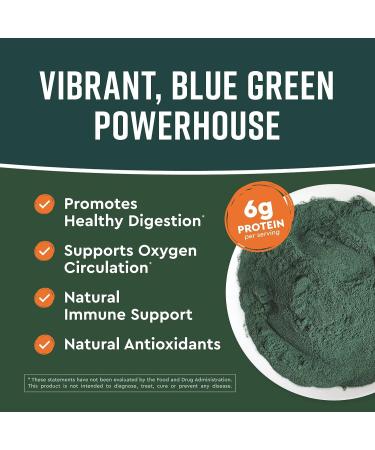 360 Nutrition Spirulina Powder - Vegan, Non GMO, Rich in Vitamin A, B Vitamins, Iron, Protein & Amino Acids - Caffeine Free Energy, Digestive Health, Immune Support - 6g Plant Based Protein - 2 oz - Buy Online on GoSupps.com