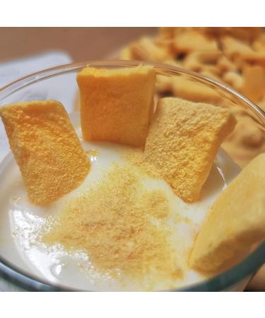  ZINGY ZOO Freeze-Dried Mango Fruit Powder | XL 300g Natural Dry Mango | Freeze-Dried Fruit Without Additives | - Buy Online on GoSupps.com