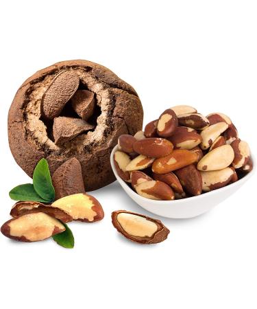 Buy Sunfood Raw Organic Brazil Nuts 0.5 lb (227g) - High-Quality & Nutrient-Rich - Buy Online on GoSupps.com