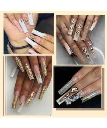Canvalite 1820Pcs Champagne Rhinestones Nail Gems | 12 Styles 3D Glass Crystals | Nail Rhinestones with Rhinestones Picker & Tweezers | Multi Shape Flatback Face Gems for Nail Art - Buy Online on GoSupps.com