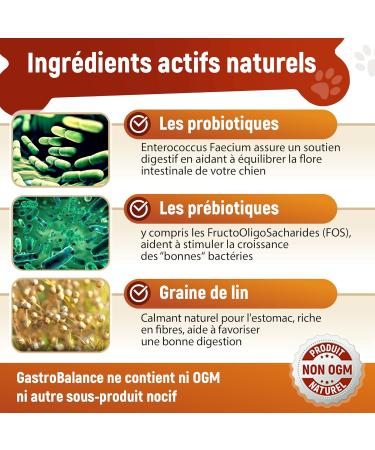 GastroBalance Probiotic Dog Treatment 60 Natural Probiotic Dog Intestinal Flora Croquettes Bacon Flavor (French) - Buy Online on GoSupps.com