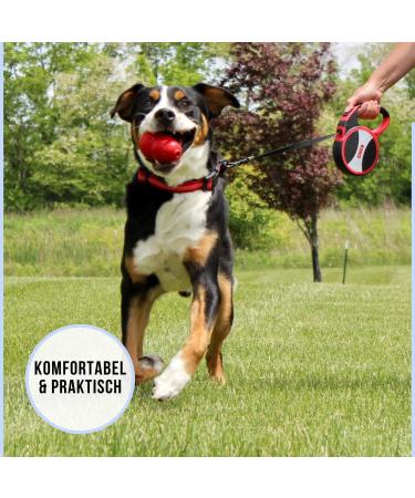 KONG Explore Retractable Dog Leash Large Grey 7 5m Tape Explore Large Grey - Buy Online on GoSupps.com