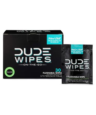 DUDE Wipes On-The-Go Flushable Wet Wipes - 1 Pack, 30 Wipes - Mint Chill Extra-Large Individually Wrapped Wipes with Eucalyptus & Tea Tree Oil - Septic and Sewer Safe - Buy Online on GoSupps.com