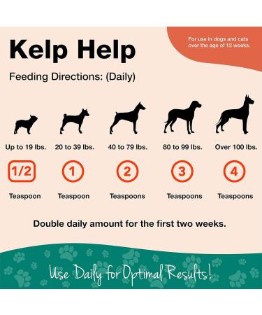 NaturVet Healthy Probiotics and Digestive Enzyme + Kelp Help Plus Omegas for Dogs and Cats 1 lb Probiotic + Omegas - Buy Online on GoSupps.com