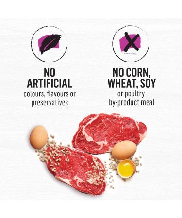 Beyond Simply Natural Dry Dog Food Farm-Raised Beef Barley & Free Run Egg - 5 kg Bag 5 kg (Pack of 1) - Buy Online on GoSupps.com