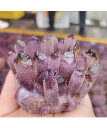 Crystal Rough 1pcs Natural Amethyst Cluster raw Stones geode ReikiQuartz Crystal Minerals Gemstone Remove Negative Suitable for Furniture Decoration (Size : 500-600g) - Buy Online on GoSupps.com